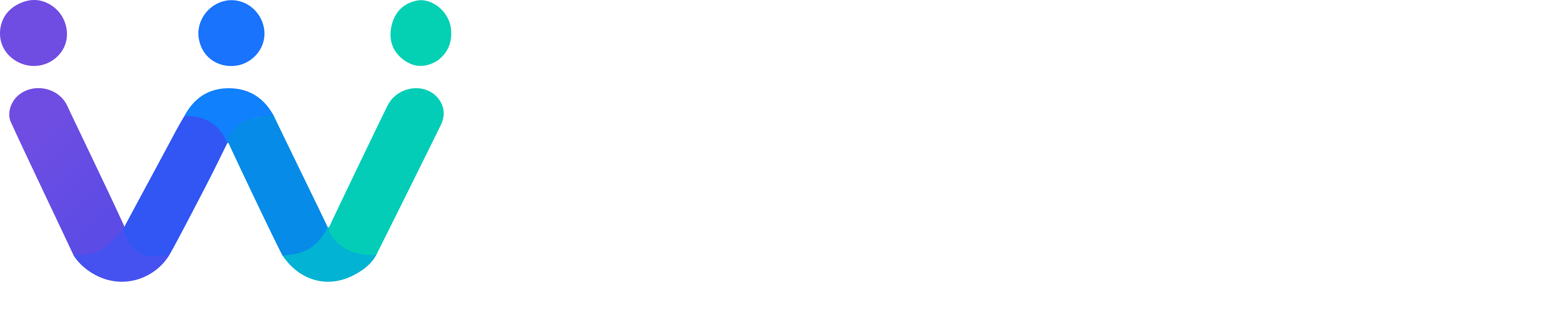 Wayvr